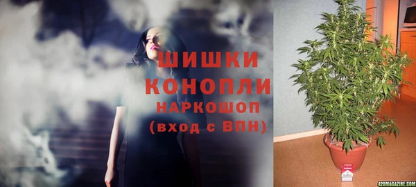 крисы Зеленодольск