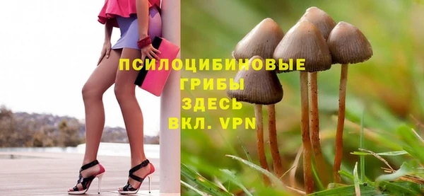 герыч Каменка