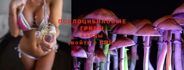 mdpv Зеленокумск