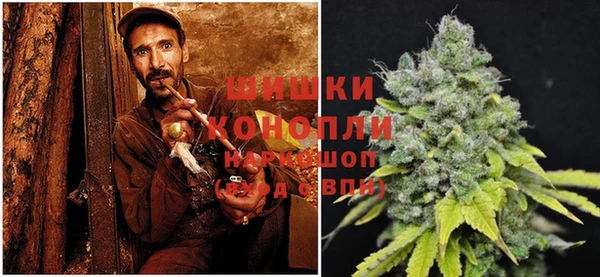 a pvp Шадринск
