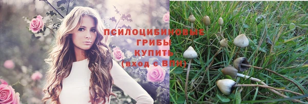 mdpv Зеленокумск