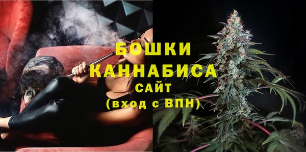 крисы Зеленодольск