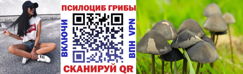 продажа наркотиков  Краснокамск  shop состав  Псилоцибиновые грибы Cubensis 