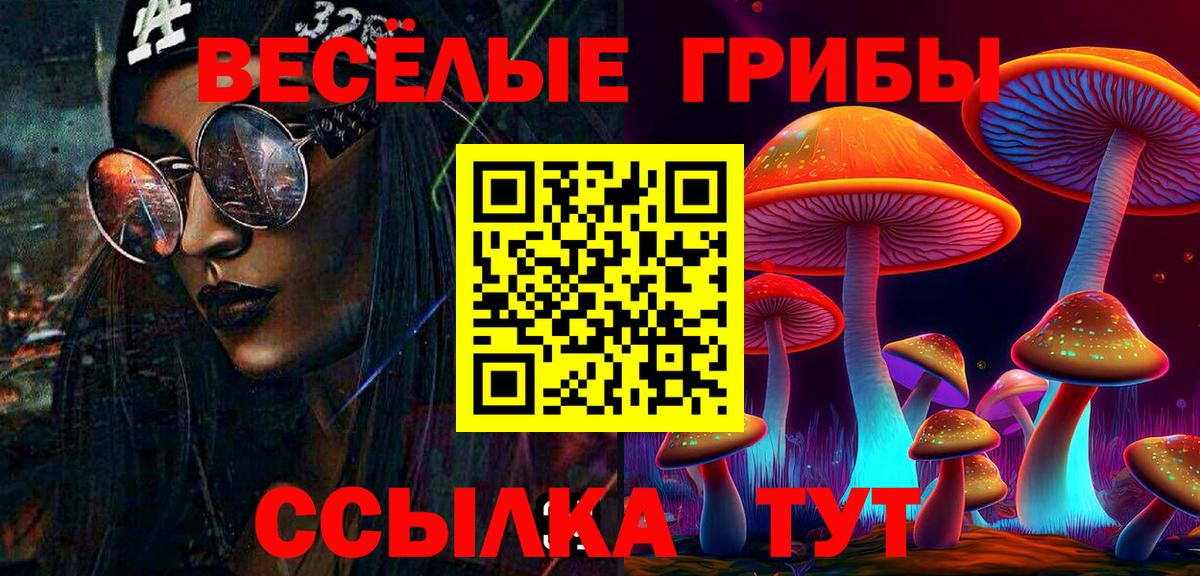 Псилоцибиновые грибы Psilocybe  Псилоцибиновые грибы мицелий  Вход с VPN  Краснокамск 
